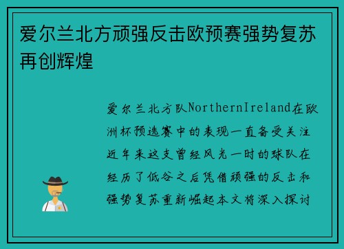 爱尔兰北方顽强反击欧预赛强势复苏再创辉煌